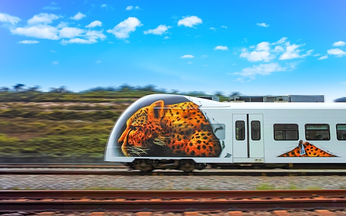 KLIA Ekspres train with leopard artwork traveling on tracks under a blue sky.