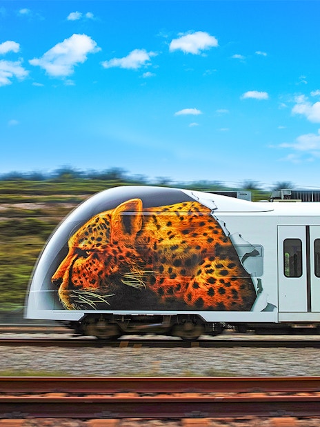 KLIA Ekspres train with leopard artwork traveling on tracks under a blue sky.