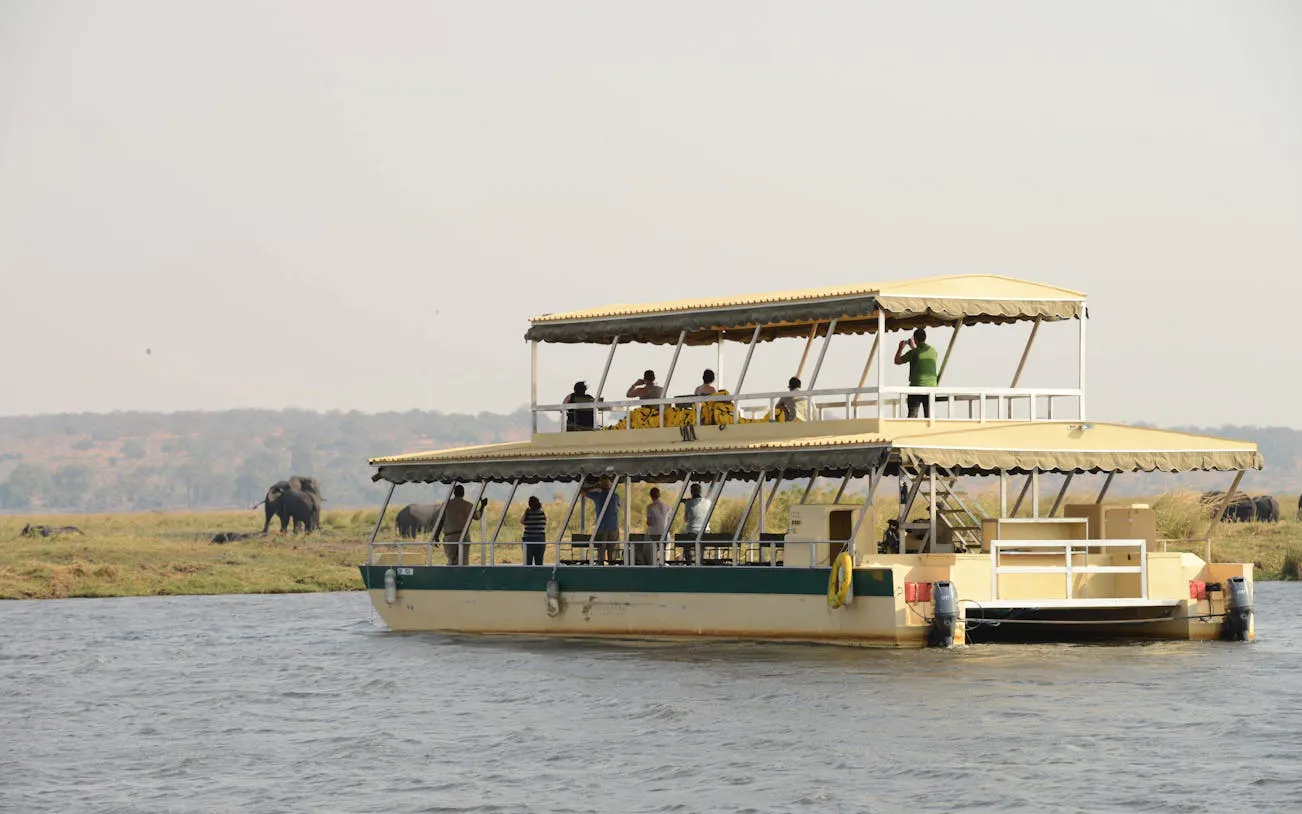 Chobe River Boat Safari with Wildlife Viewing, Lunch, and Transfers Image 5