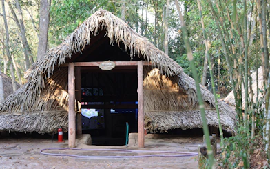 Hut room entrance at Cu Chi Tunnels surrounded by trees.