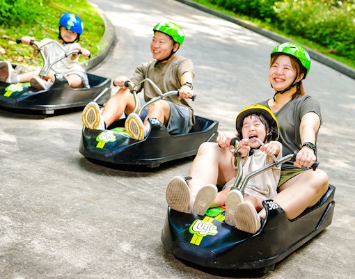Family enjoying Skyline Luge ride in Singapore.