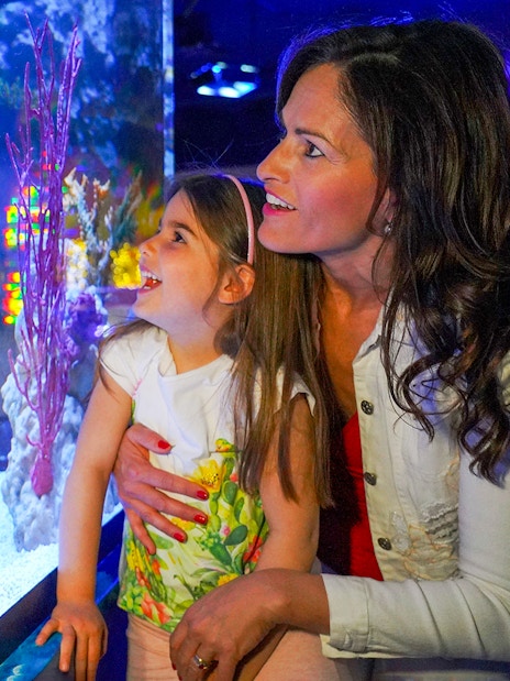 Mother and daughter observing seahorses at Sea Life Aquarium, Verona.