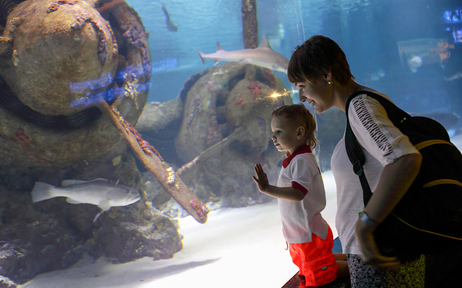 Tips to Note When Visiting the Antalya Aquarium
