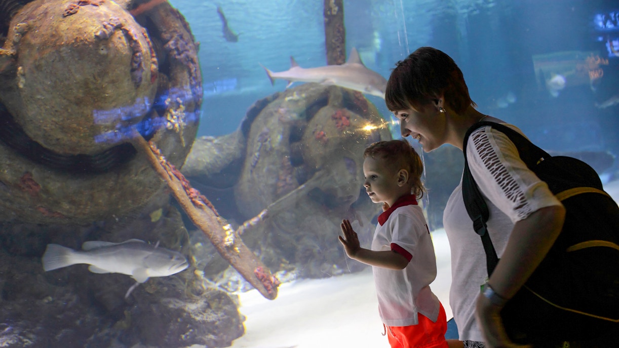 Antalya Aquarium Opening Hours
