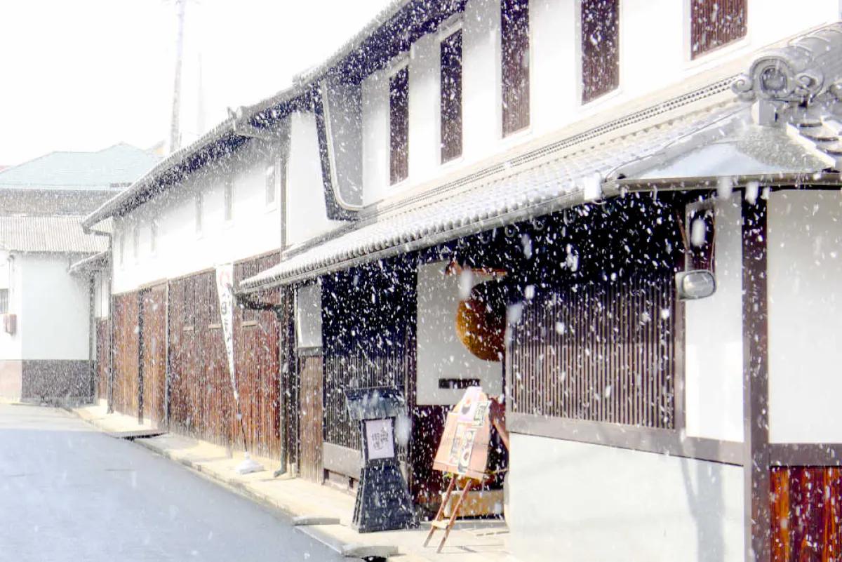 osaka: saijo sake brewery tour with tasting-1