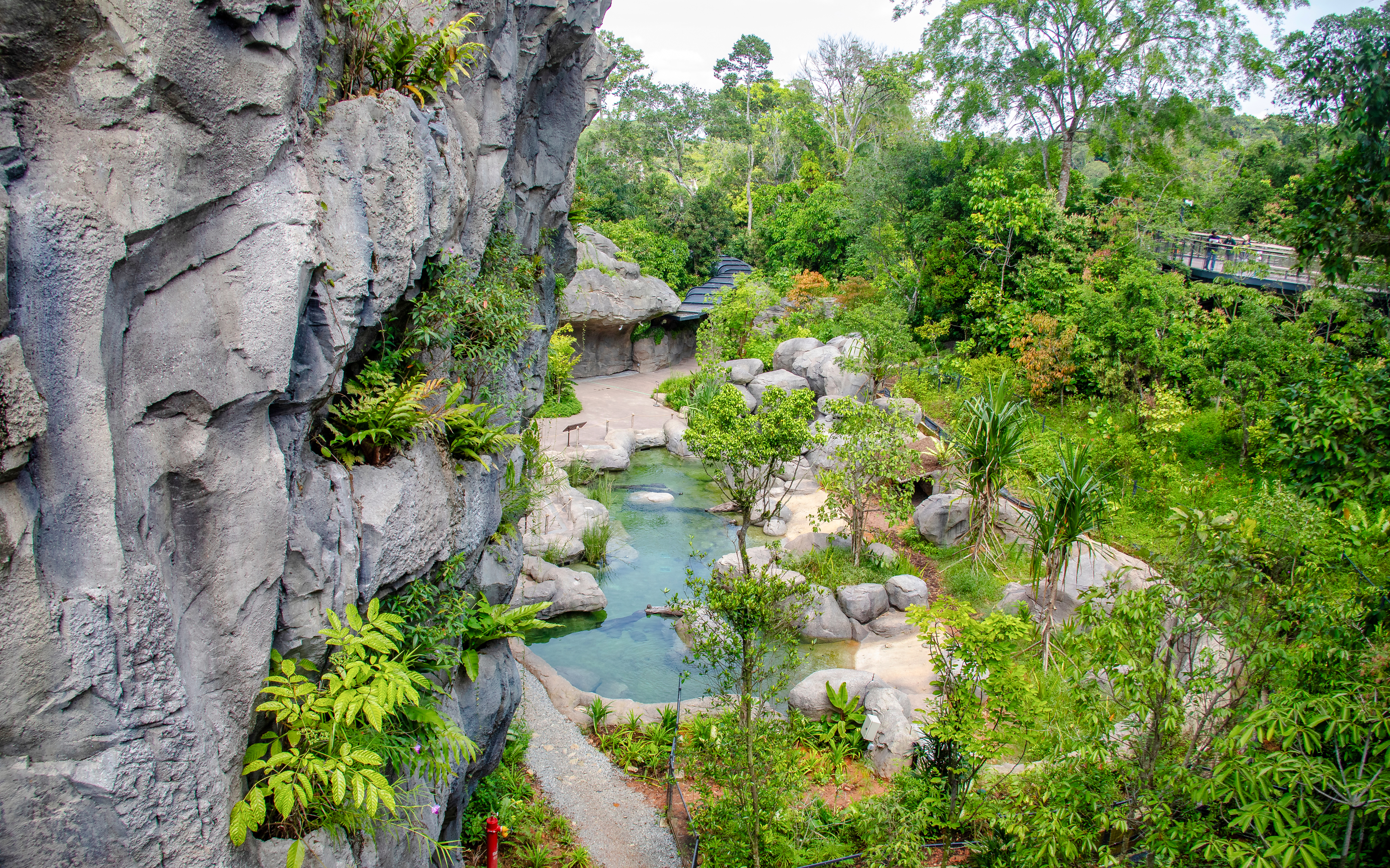 Rainforest landscape with rocky cliffs and lush greenery in Mandai, Singapore.