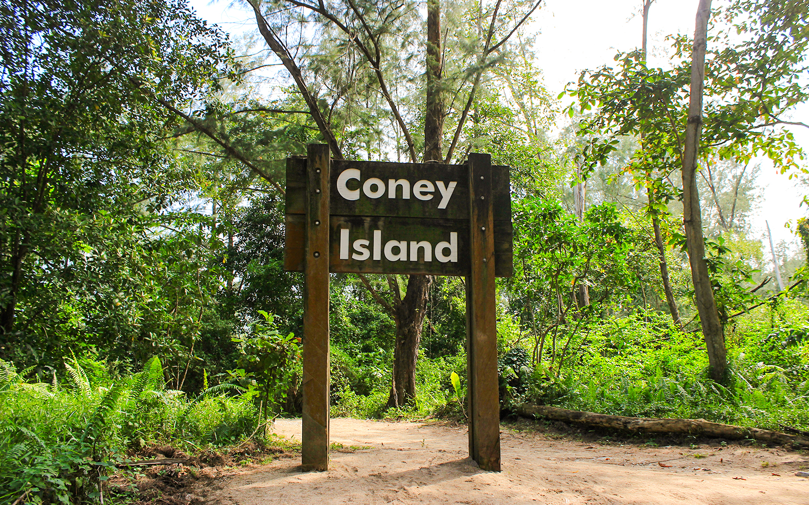 Coney Island entrance sign surrounded by lush greenery, Singapore.