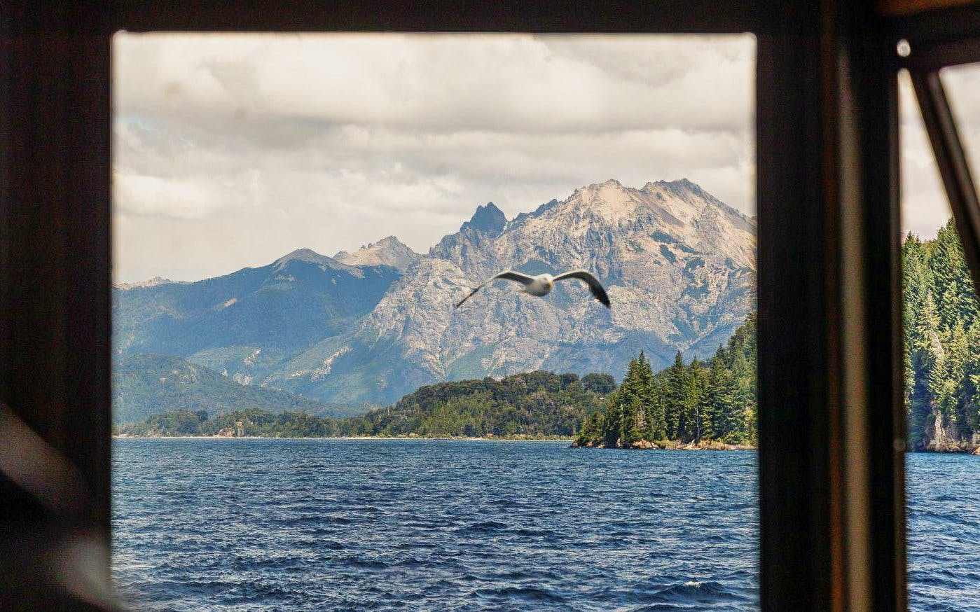 Boat view of Patagonian mountains across Lake Nahuel Huapi with a seagull in flight.