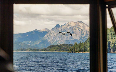 Boat view of Patagonian mountains across Lake Nahuel Huapi with a seagull in flight.