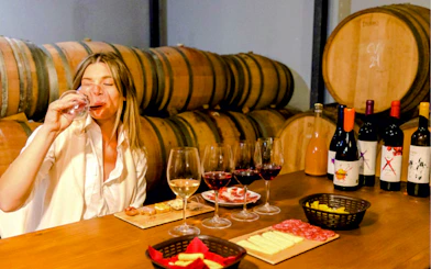 Málaga Wine Tour with Vineyard & Cellar Visits, Wine Tastings and Tapas