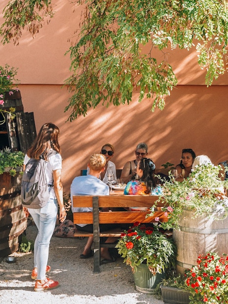 Group enjoying wine tasting at a rustic outdoor setting near Krka Waterfalls, Split.