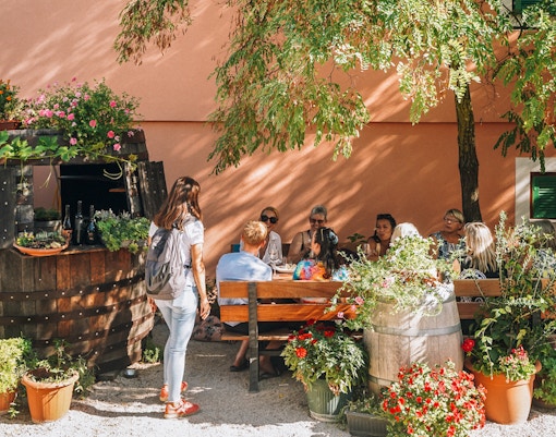 Group enjoying wine tasting at a rustic outdoor setting near Krka Waterfalls, Split.