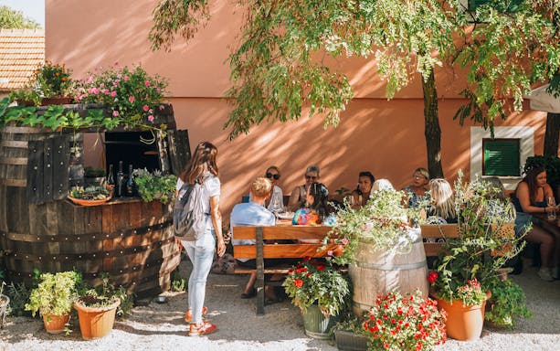 Group enjoying wine tasting at a rustic outdoor setting near Krka Waterfalls, Split.