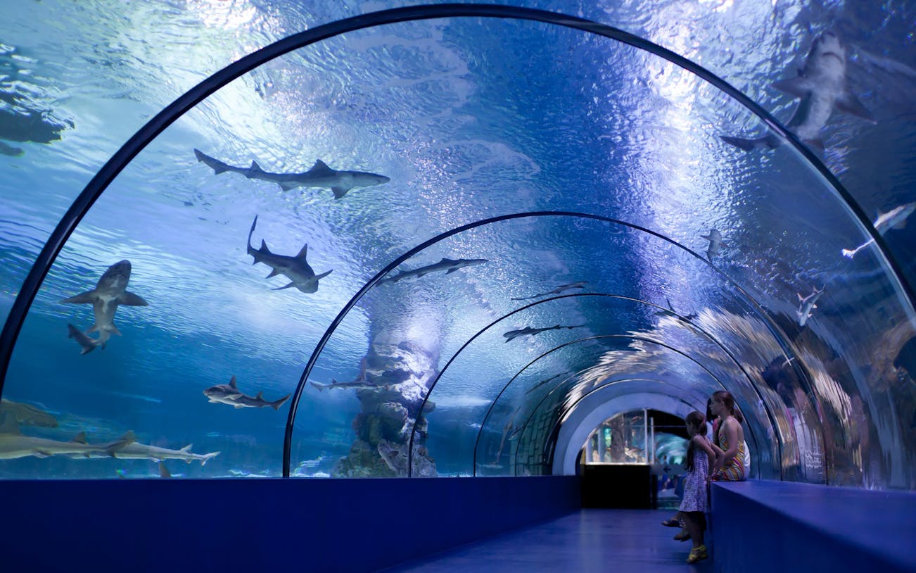 antalya: aquarium, wax museum & combo package options-2