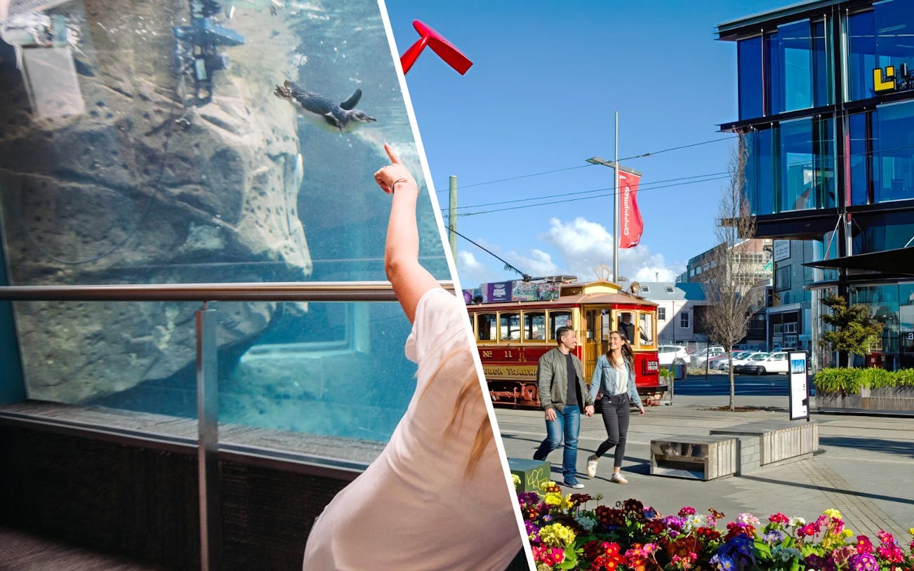 Couple walking near vintage tram in Christchurch with aquarium penguin exhibit.