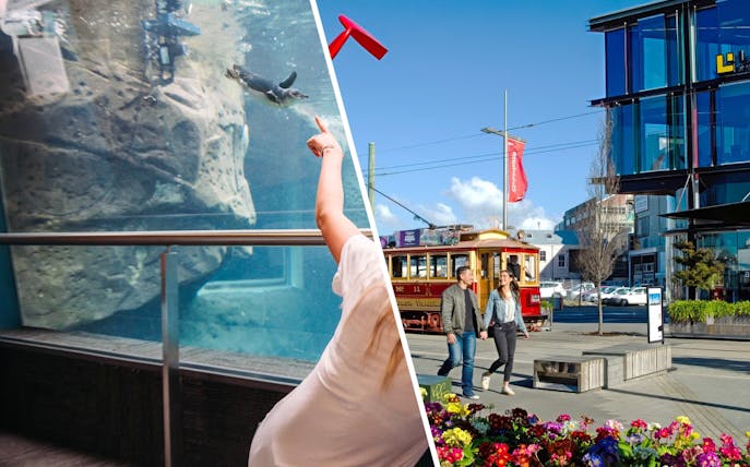 Couple walking near vintage tram in Christchurch with aquarium penguin exhibit.