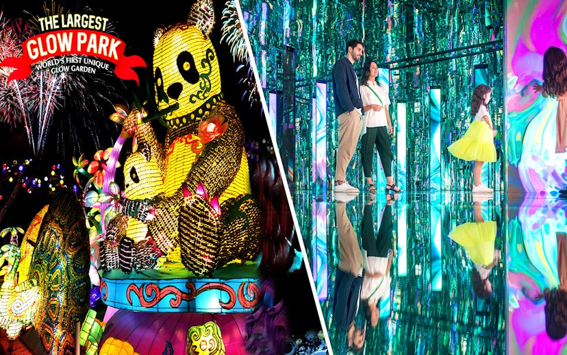 Glow park with illuminated panda and peacock sculptures; family exploring mirrored light exhibit.