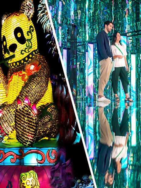 Glow park with illuminated panda and peacock sculptures; family exploring mirrored light exhibit.