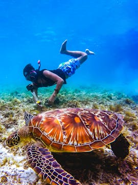 Perdana Quay Eco Marine Park Tickets