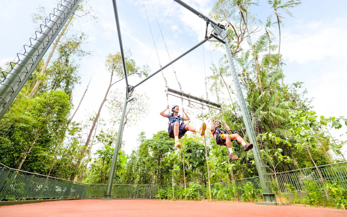 Riders on the Ravine Swing at Rainforest Wild Adventure surrounded by lush greenery.