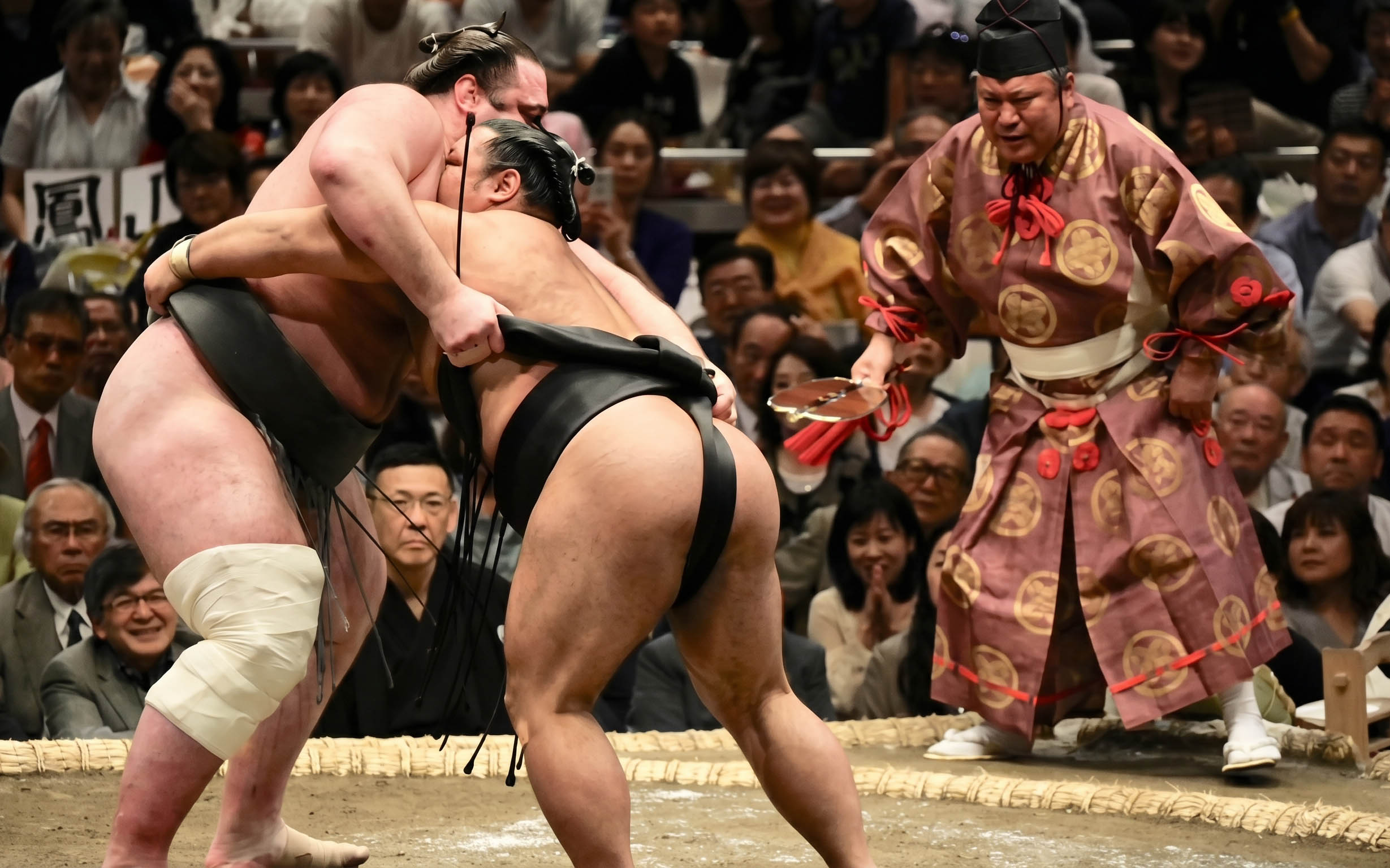 Sumo wrestlers competing in Tokyo Grand Sumo Tournament with referee observing.