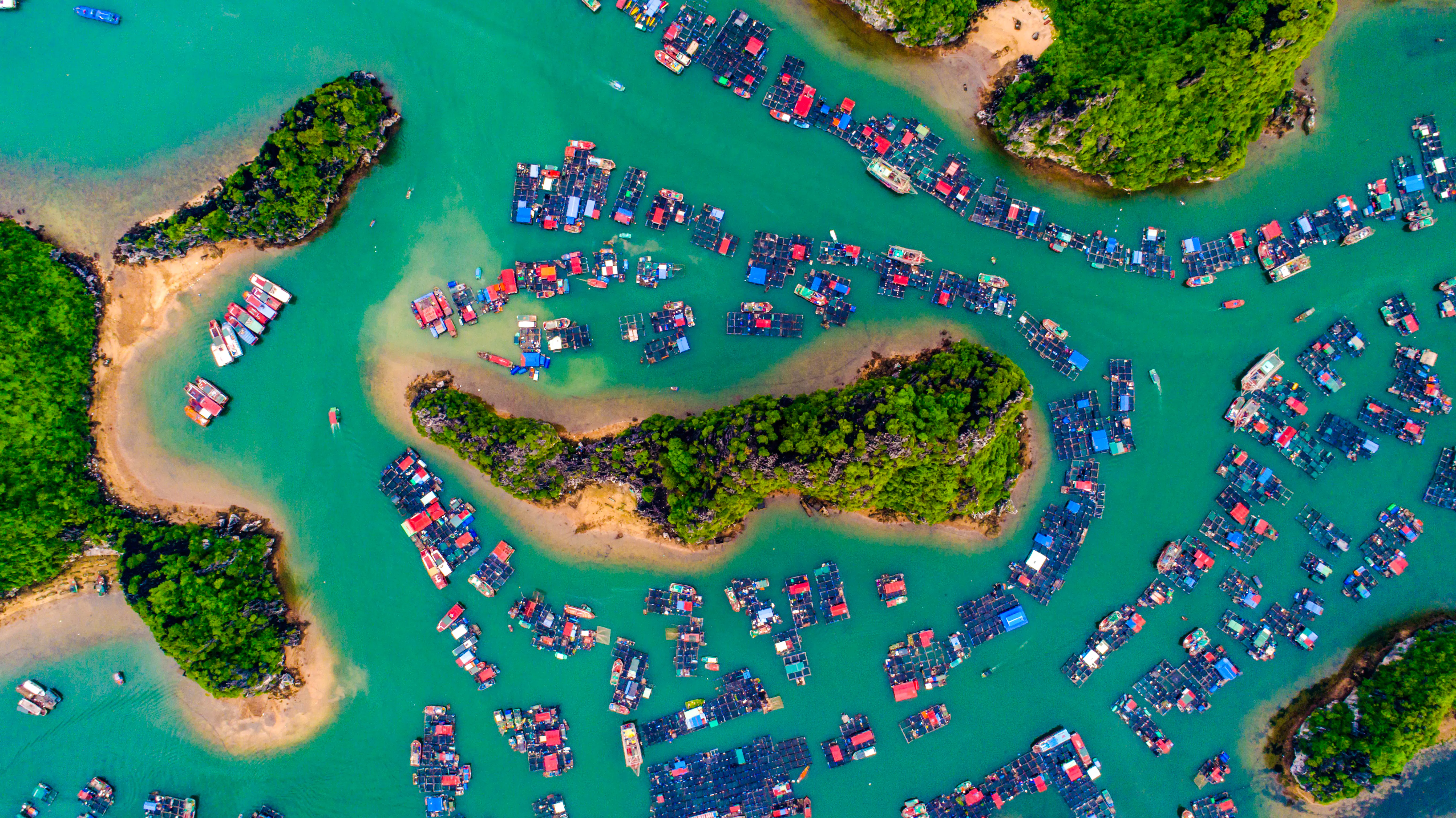 From Hanoi: Lan Ha Bay Day Cruise with Kayaking & Seafood Lunch