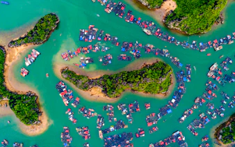 din hanoi: croazieră de o zi în golful lan ha și golful ha long, cu caiac și prânz cu fructe de mare-1