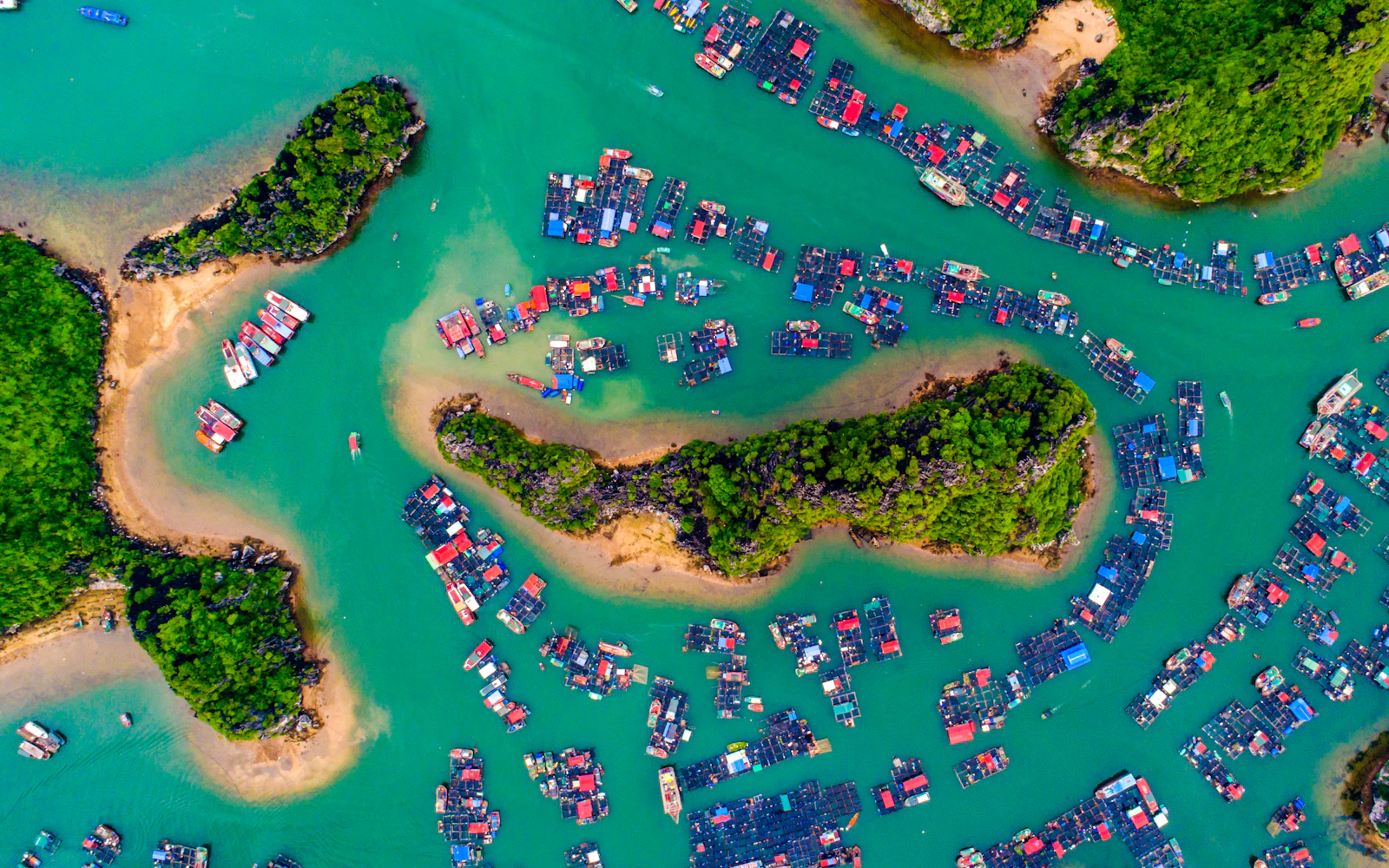 From Hanoi: Lan Ha Bay and Ha Long Bay Day Cruise with Kayaking and Seafood Lunch (Product 54388)