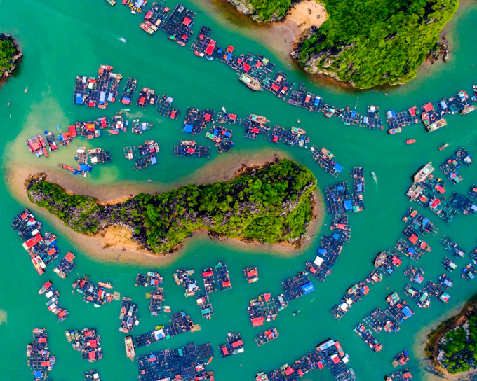 From Hanoi: Lan Ha Bay and Ha Long Bay Day Cruise with Kayaking and Seafood Lunch