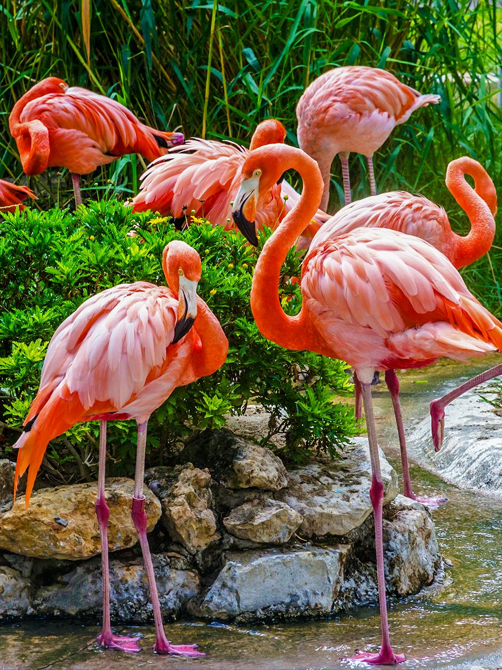 Lisbon Zoo 