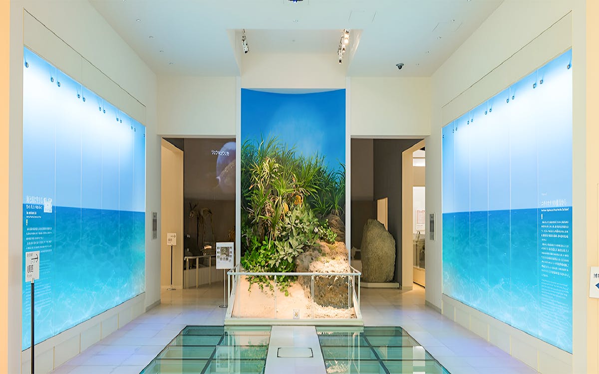 tickets to okinawa prefectural museum and art museum-6 tickets to okinawa prefectural museum and art museum-6