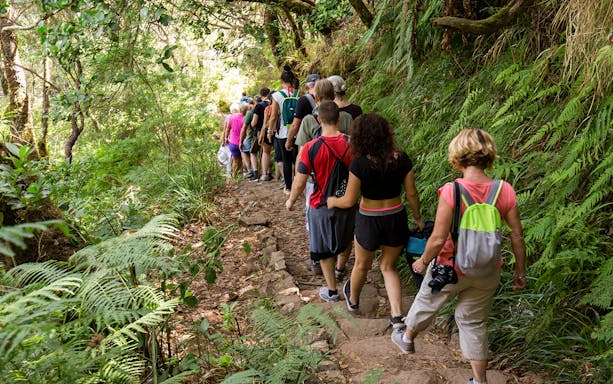 Group hiking on Rabaçal 25 Fountains Levada trail surrounded by lush greenery.