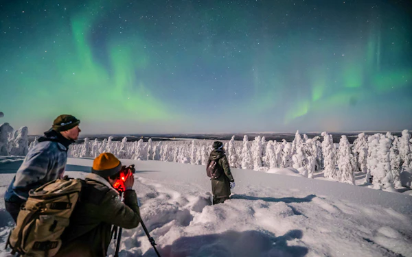 Northern Lights Small-Group Guided Tour with Professional Photography
