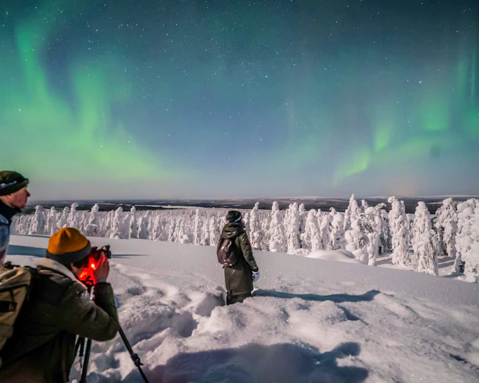 Northern Lights Small-Group Guided Tour with Professional Photography