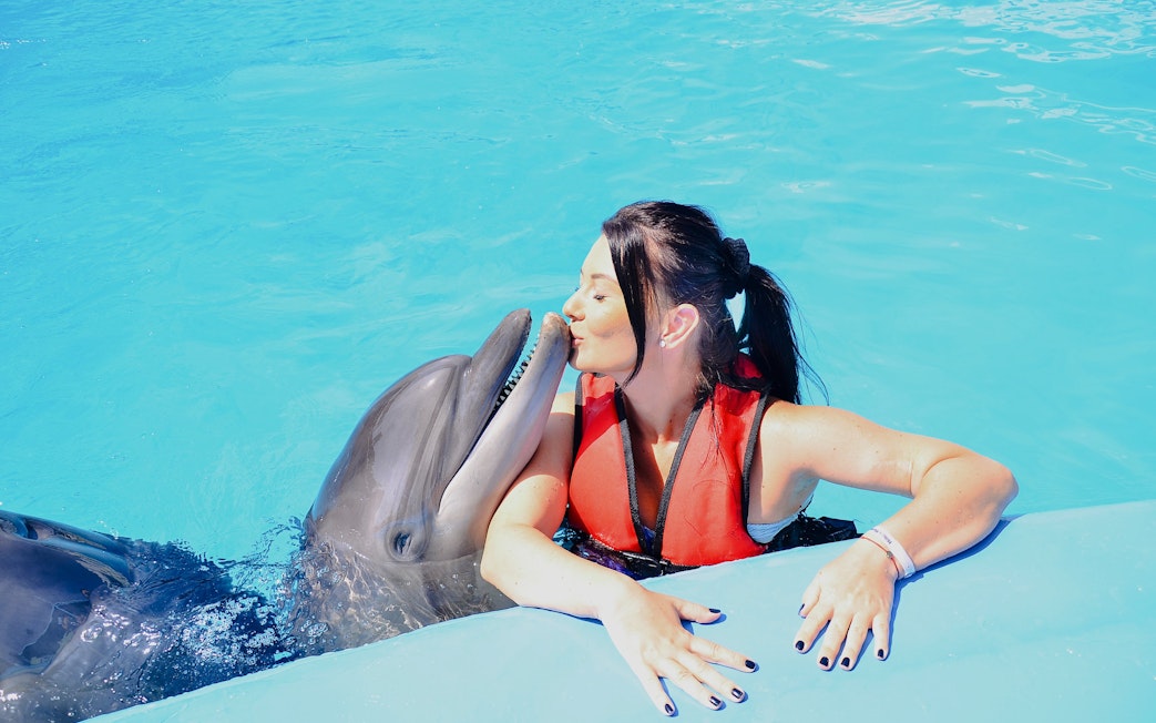Woman kissing a dolphin during a private photo experience at Dolphin World.