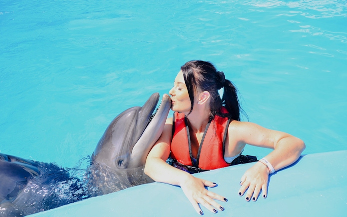 Woman kissing a dolphin during a private photo experience at Dolphin World.