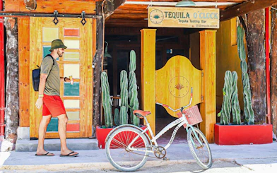 From Cancún: Holbox Island Day Trip with Isla Pasión, Punta Mosquito & Yalahau Spring
