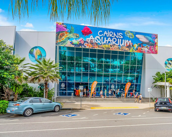 Cairns Aquarium General Admission Tickets with Turtle Hospital Tour