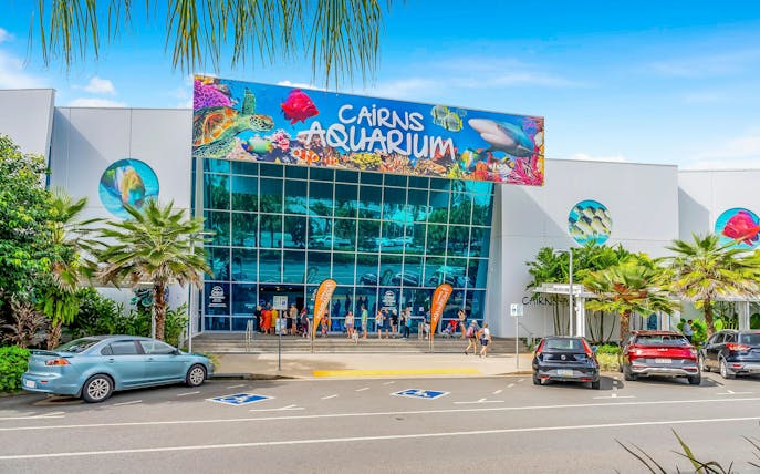 cairns aquarium general admission tickets with turtle hospital tour-1