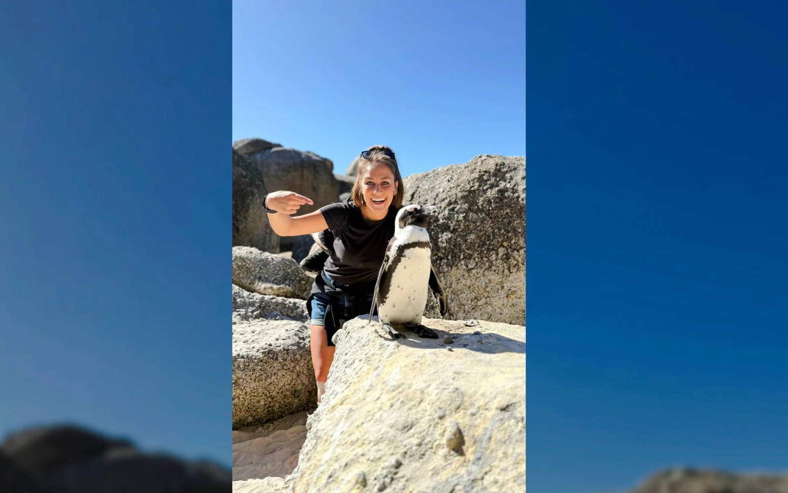 From Cape Town: Cape Peninsula, Boulders Beach Penguins, Bo-Kaap & Table Mountain Guided Tour Image 2