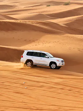 Dubai Desert Safari with Dinner