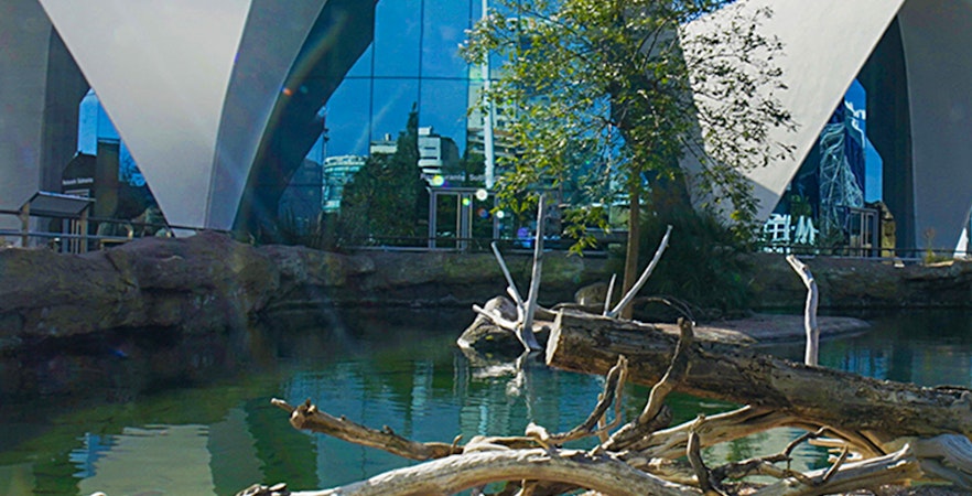 Oceanogràfic di Valencia