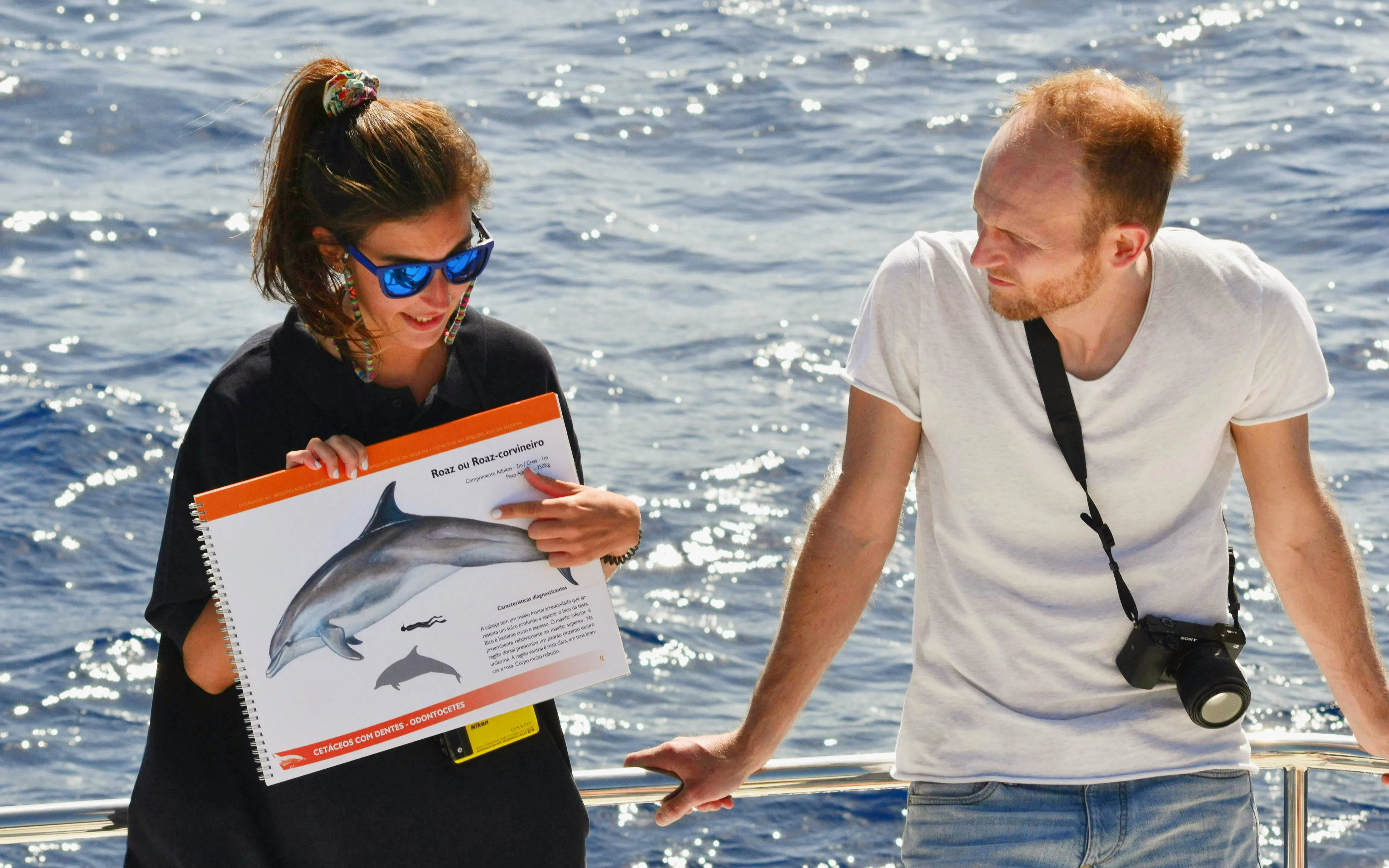 Guide explaining dolphin species on a Small Group Dolphin & Whale Watching Cruise.