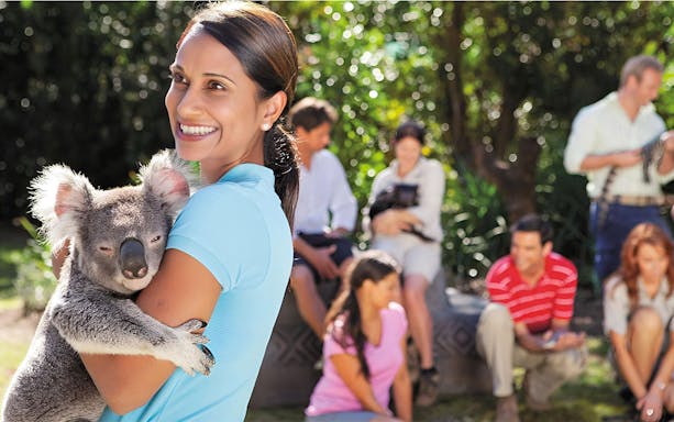 Visitors exploring Australia Zoo with kangaroos in Brisbane, entry tickets with transfers from Noosa.