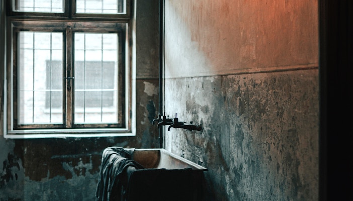 Inside Auschwitz Block 25
