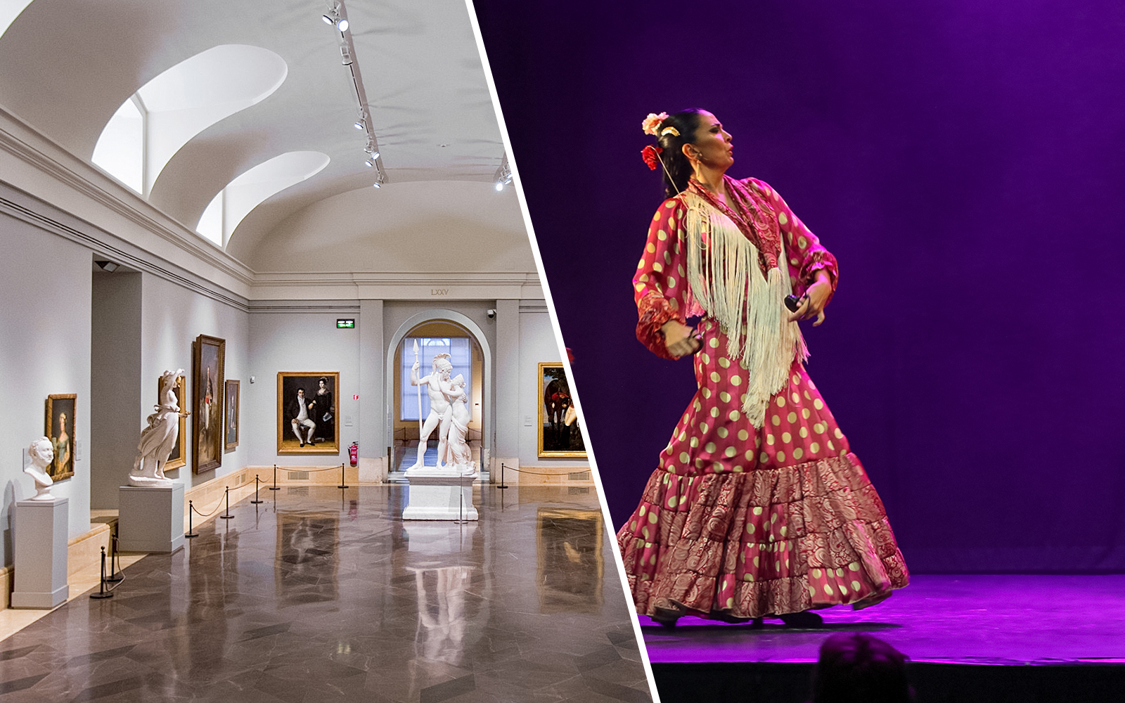 Combo (Save 5%): Prado Museum Tickets + Teatro Flamenco Emotions Show