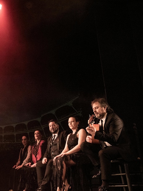 Flamenco dancer performing at Teatro Flamenco Madrid with musicians on stage.