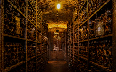 Real Companhia Velha: Guided Cellar Tour with Port Wine Tasting
