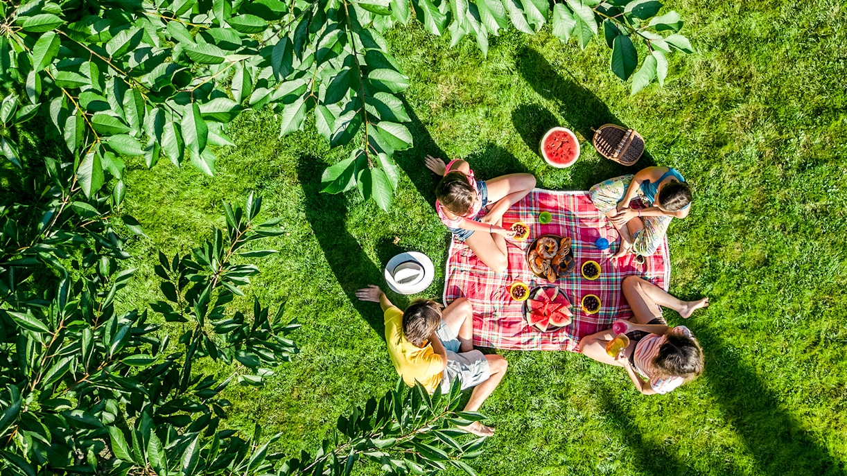 Family enjoying a picnic on a blanket with food in a sunny park.