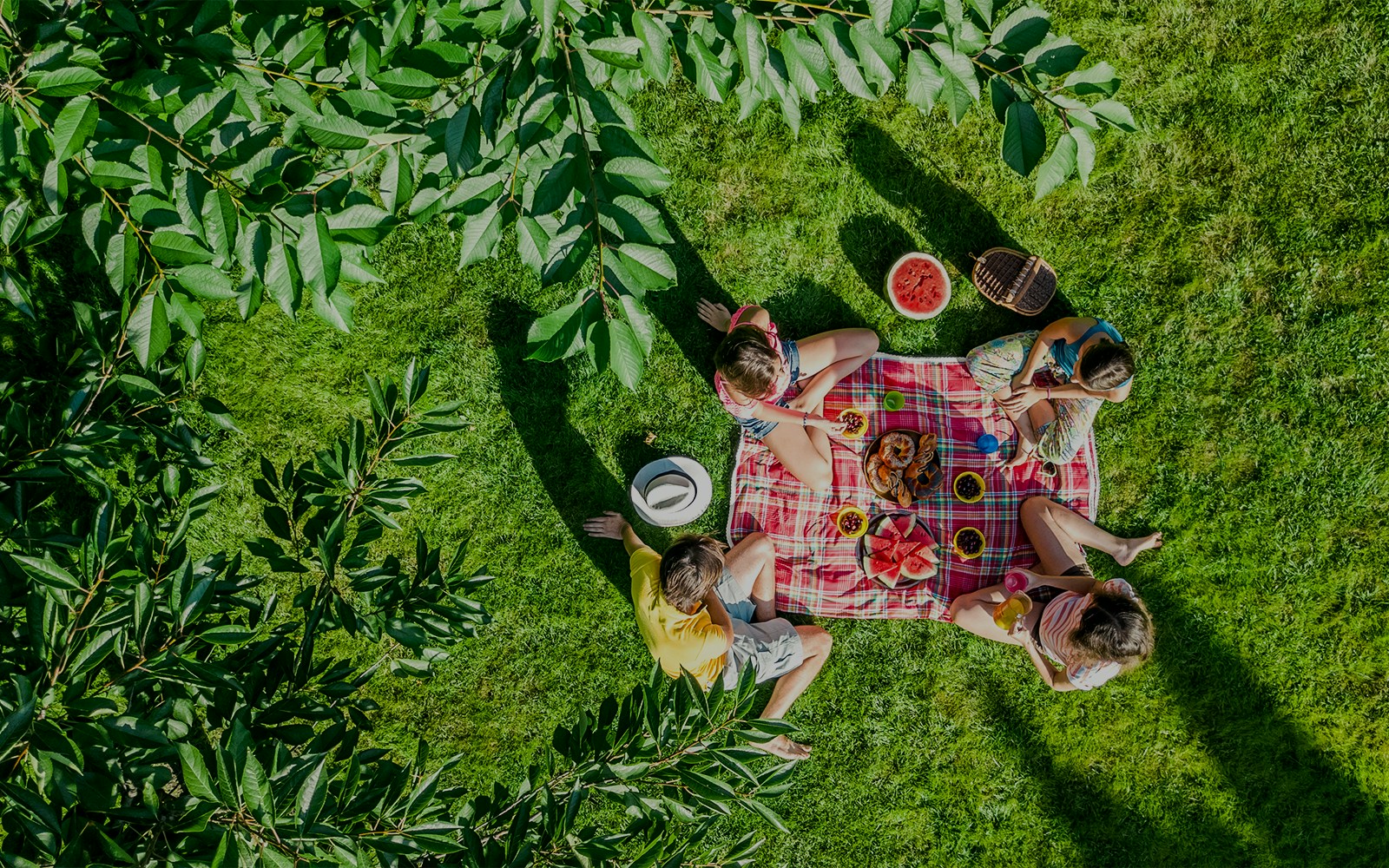Family enjoying a picnic on a blanket with food in a sunny park.